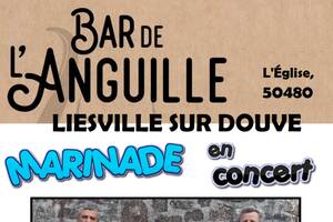 photo Marinade (chant marins)  en concert - bar de l'anguille - liesville sur douve