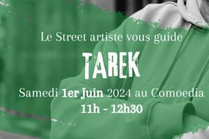 photo Le Street artiste vous guide - Tarek