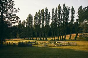 photo Rendez-vous aux jardins