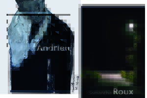 Samantha R O U X -- A N D R I E U à la galerie L - Roussillon 