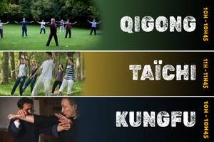 Initiations gratuites au Taïchi, Qigong et Kungfu