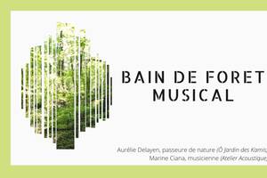 Bain de forêt musical