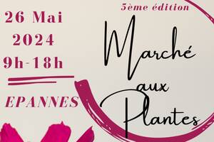 MARCHE AUX PLANTES