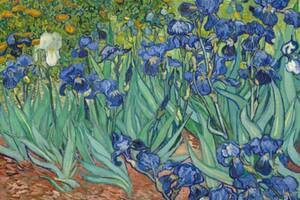 photo Vincent Van Gogh - Conférence sur l'Histoire de l'Art