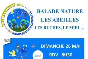 Fête de la Nature : une balade et des abeilles...