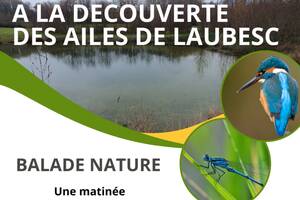 Balade naturaliste