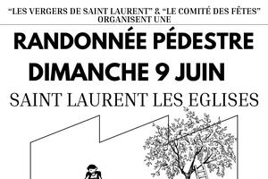 Randonnée Pédestre aux Vergers de St Laurent les Eglises