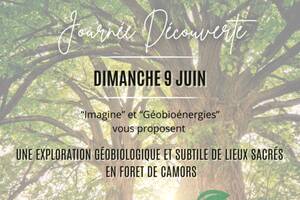 Plongez-vous dans l’univers subtil de la Géobiologie sur les lieux sacrés