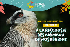 Conférence À LA RESCOUSSE DES ANIMAUX DE NOS REGIONS animée par la Ligue pour la Protection des Oiseaux (LPO)