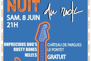 Nuit du Rock