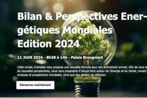 BILAN ET PERSPECTIVES ENERGETIQUES MONDIALES 2024  4 éclairages sur les tendances et les enjeux de rupture