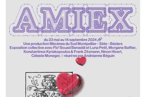 photo Exposition AMIEX