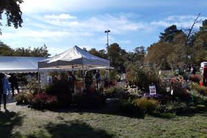 JARDINS ET SAVEURS D AUTOMNE