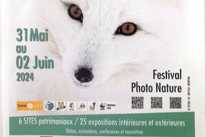 photo Festival Photo Nature