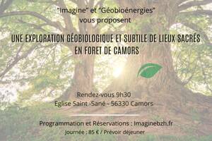 Plongez-vous dans l’univers subtil de la Géobiologie sur les lieux sacrés