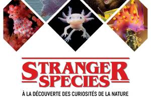 Stranger species : à la découverte des curiosités de la nature
