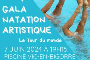 Gala de natation artistique