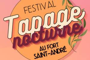 Festivale Tapage Nocturne au Fort Saint-André !