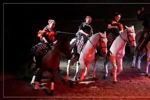 photo spectacle Equestre 