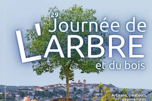 Journée de l'arbre et du bois