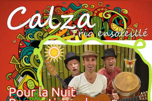 Concert Calza Trio