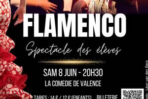 photo spectacle annuel de danse flamenco