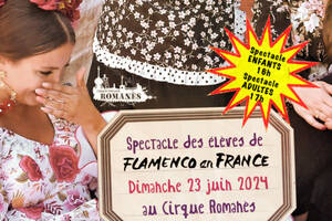 Spectacle des élèves et professeurs de Flamenco en France