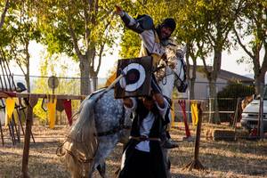 Tournoi de Chevalerie - Spectacle Équestre à Cordes sur Ciel