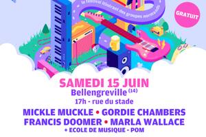 photo Festival Aérolive - Fête de la musique de Bellengreville
