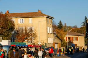Brocante Vide-greniers Collections