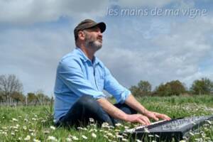 Les Mains de ma Vigne