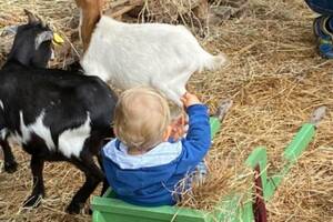 Ateliers bébés fermiers 0 - 4 ans