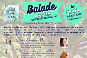 Balade Bien-être en Forêt du Gâvre