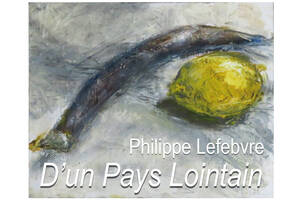 D'un Pays Lointain