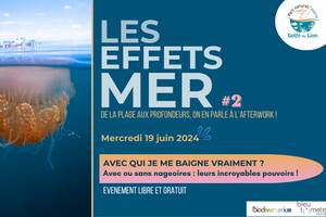 Les Effets mer #2 : L'évènement convivial pour mieux comprendre ce qui se passe sous la surface !