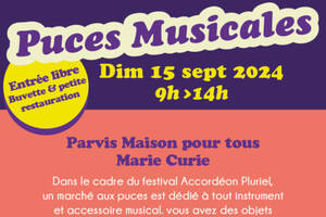 Marché aux puces musicales