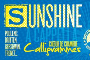 Sunshine !