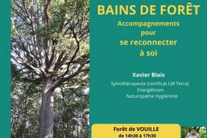 Bain de forêt