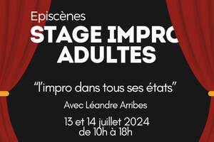 Stage Improvisation Adultes