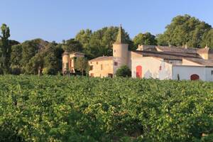 CHÂTEAU BAS REÇOIT FRENCH PEPPER