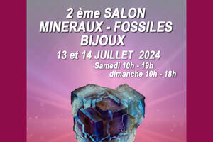 Salon minéraux, fossiles, bijoux de créateur.