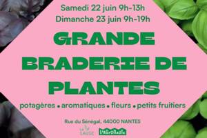 Grande Braderie de plantes