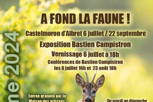 A fond la Faune