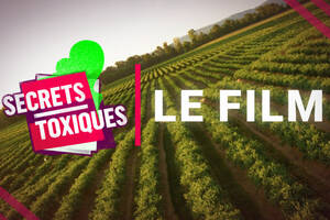 Ciné Débat Secrets Toxiques