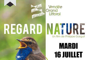 Projection Regard Nature