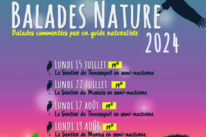 Balade nature Sentier du Marais
