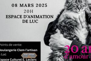 Concert Cali et Steve Nieve