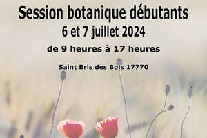 Session botanique débutants