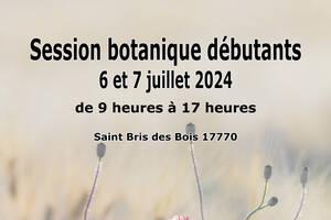 Session de botanique débutant