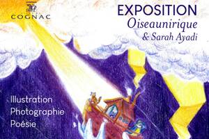 Exposition Oiseaunirique et Sarah Ayadi